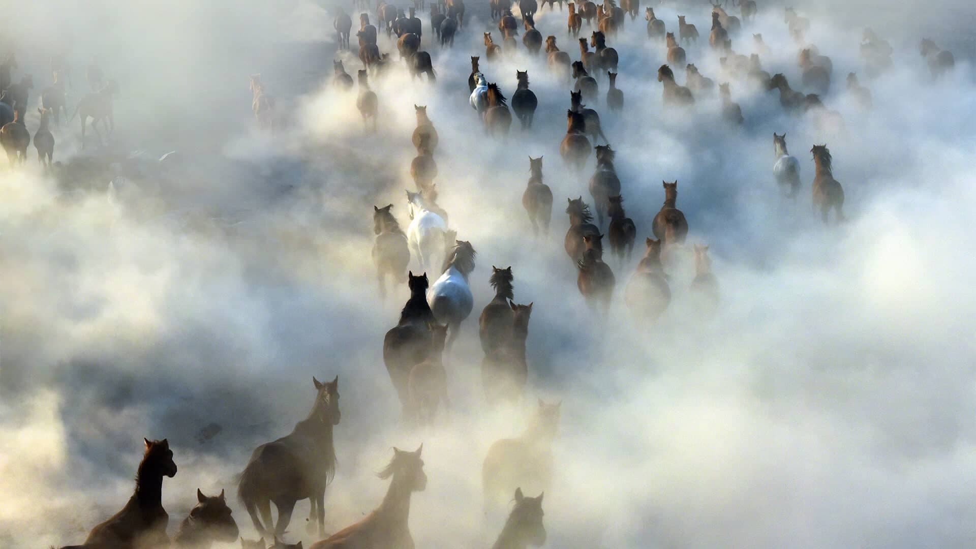 Cappadocia Landscape